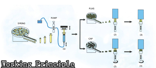 nguyên lý làm việc.jpg
